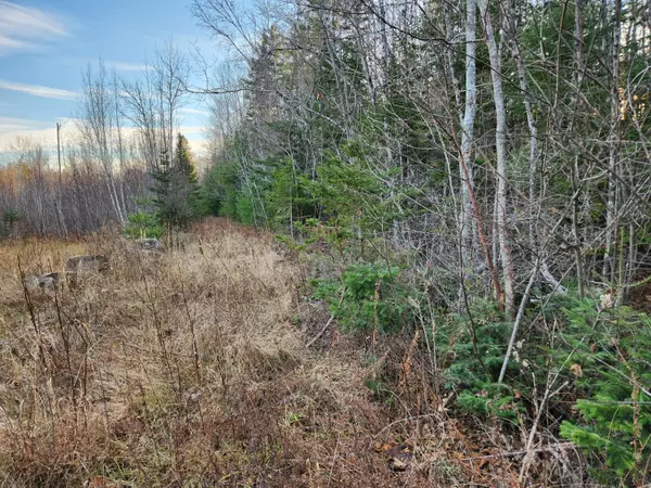 Edinburg, ME 04448,Map4 Lot33 Edinburg RD