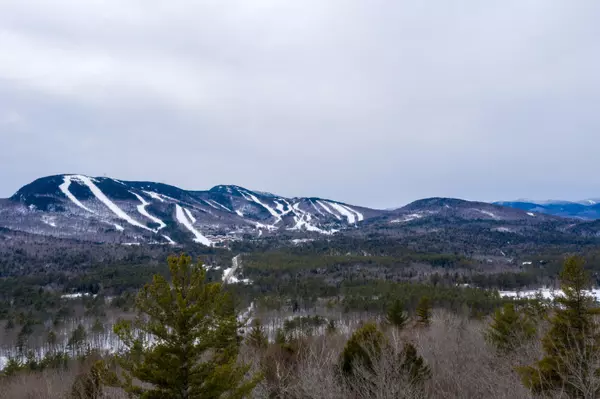 Newry, ME 04261,Lot 10 Vista RD