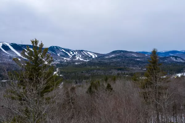 Newry, ME 04261,Lot 10 Vista RD