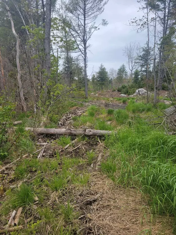 Greene, ME 04236,207 College RD