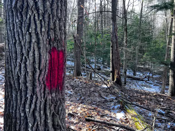 Winthrop, ME 04364,49 Owens DR