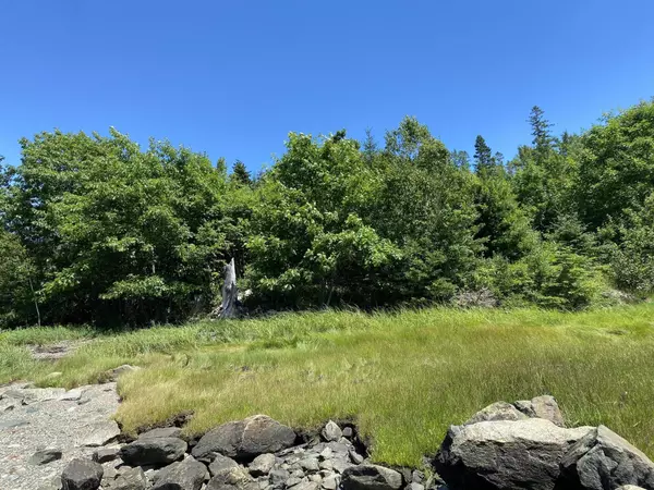 Trenton, ME 04605,0 Bayside RD