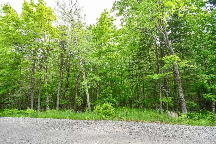 TBD Lot 5 Campbell RD, Kingsbury Plt, ME 04942
