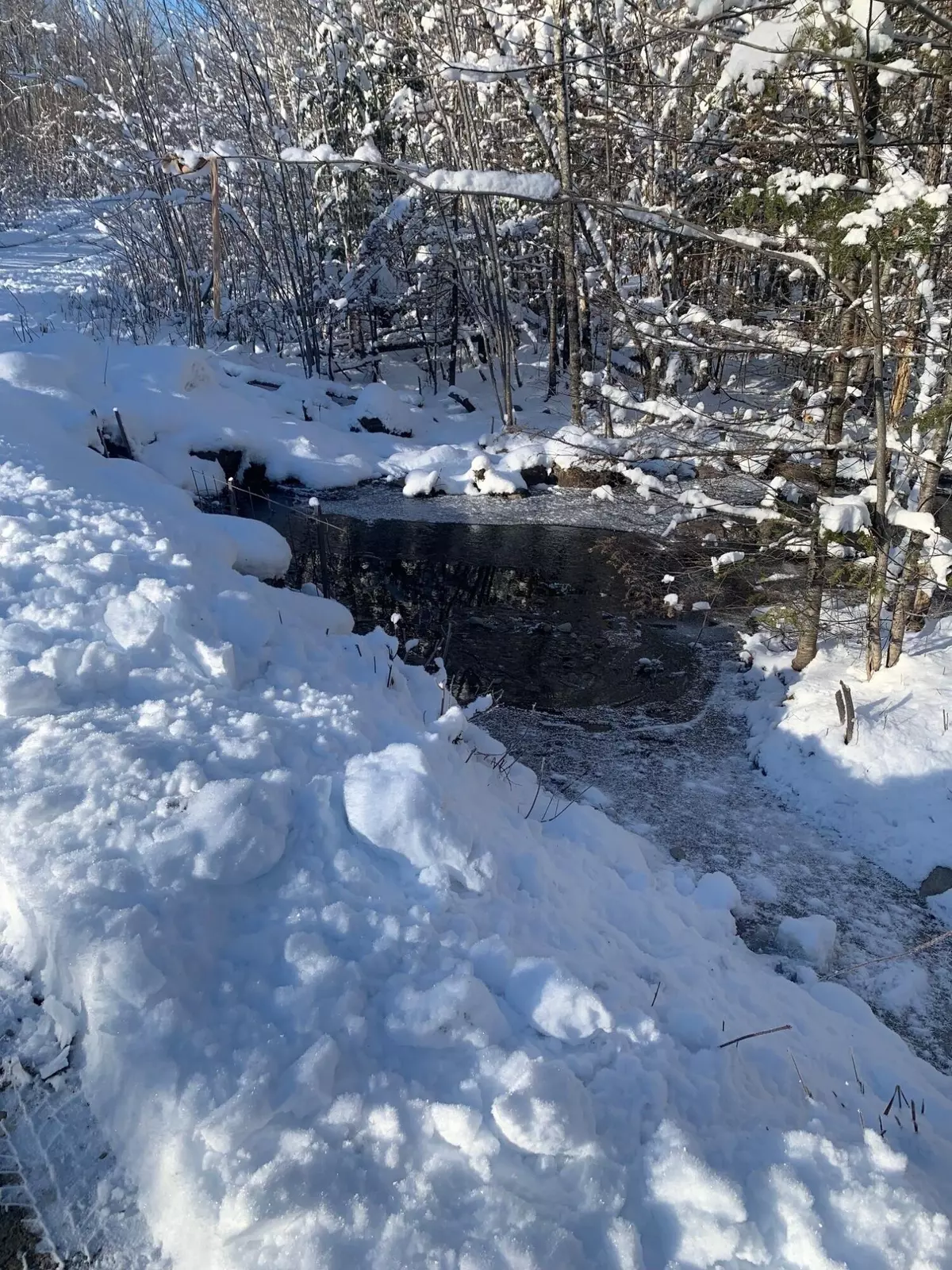 Otis, ME 04605,Lot 13 Black Bear DR