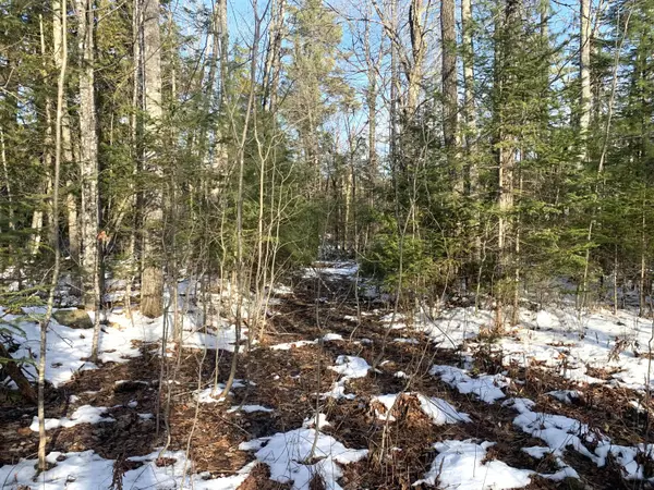 Madison, ME 04950,Map 3 Lot 29-F Russell RD
