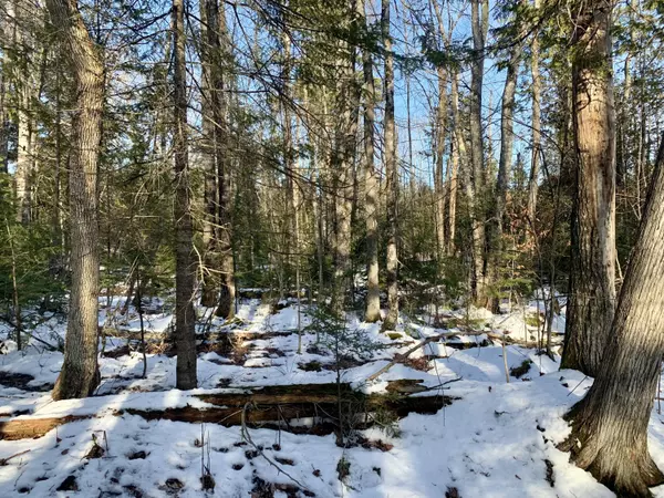 Madison, ME 04950,Map 3 Lot 29-F Russell RD