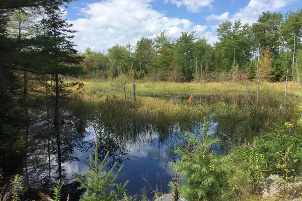 Lot 9 Surry by the Bay LN, Surry, ME 04684