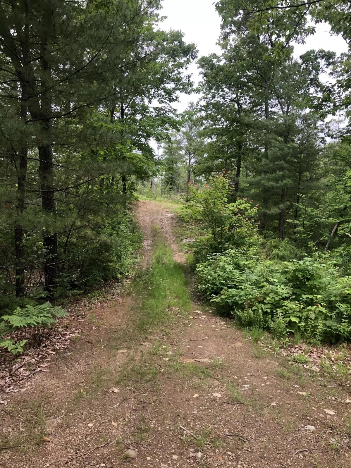 Lyman, ME 04002,014-A3 American WAY