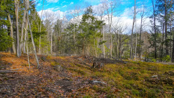New Gloucester, ME 04260,Lot 46G Penney RD