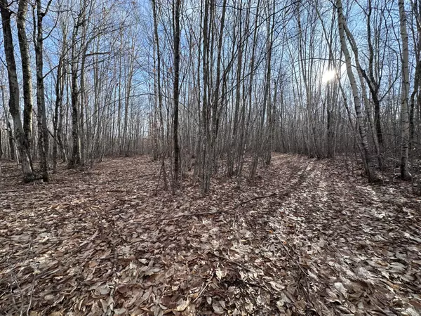 Lot 7-14 Beechwood AVE N, Hudson, ME 04449