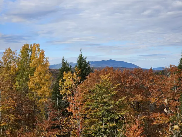 Avon, ME 04966,7 Rangeley RD