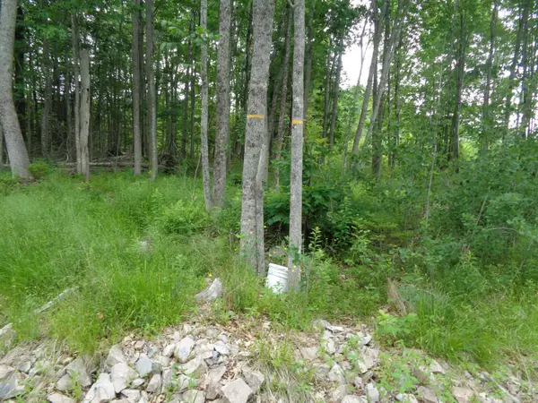 Ellsworth, ME 04605,Lot 5 Manhattan WAY