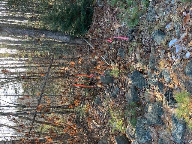 lot#3 Elm ST, Newfield, ME 04056