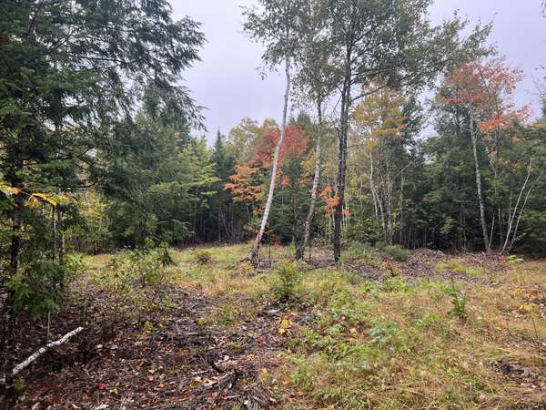 Lot 113 Bass Overlook RD, Waltham, ME 04605