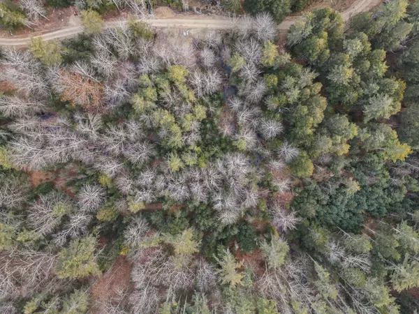 Topsham, ME 04086,Lot 2 Off Foreside RD