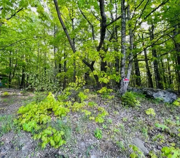 Guilford, ME 04443,Lot#41-5 Guilford Center RD