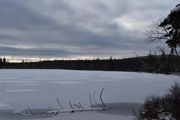 Lee, ME 04455,5 Bill Green Pond RD