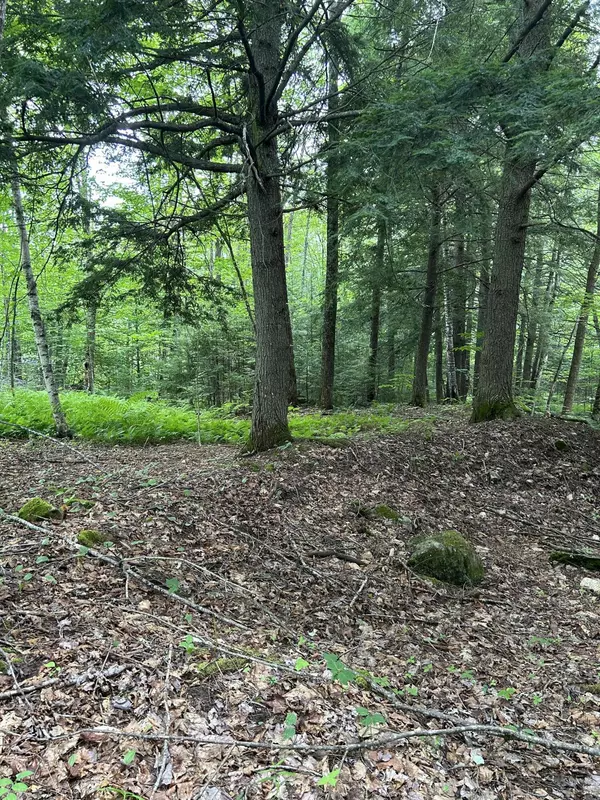 New Portland, ME 04961,M5L18 Bog RD