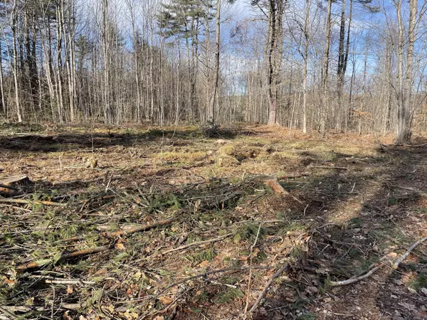 Parsonsfield, ME 04047,Lot 12-1 Maplewood RD