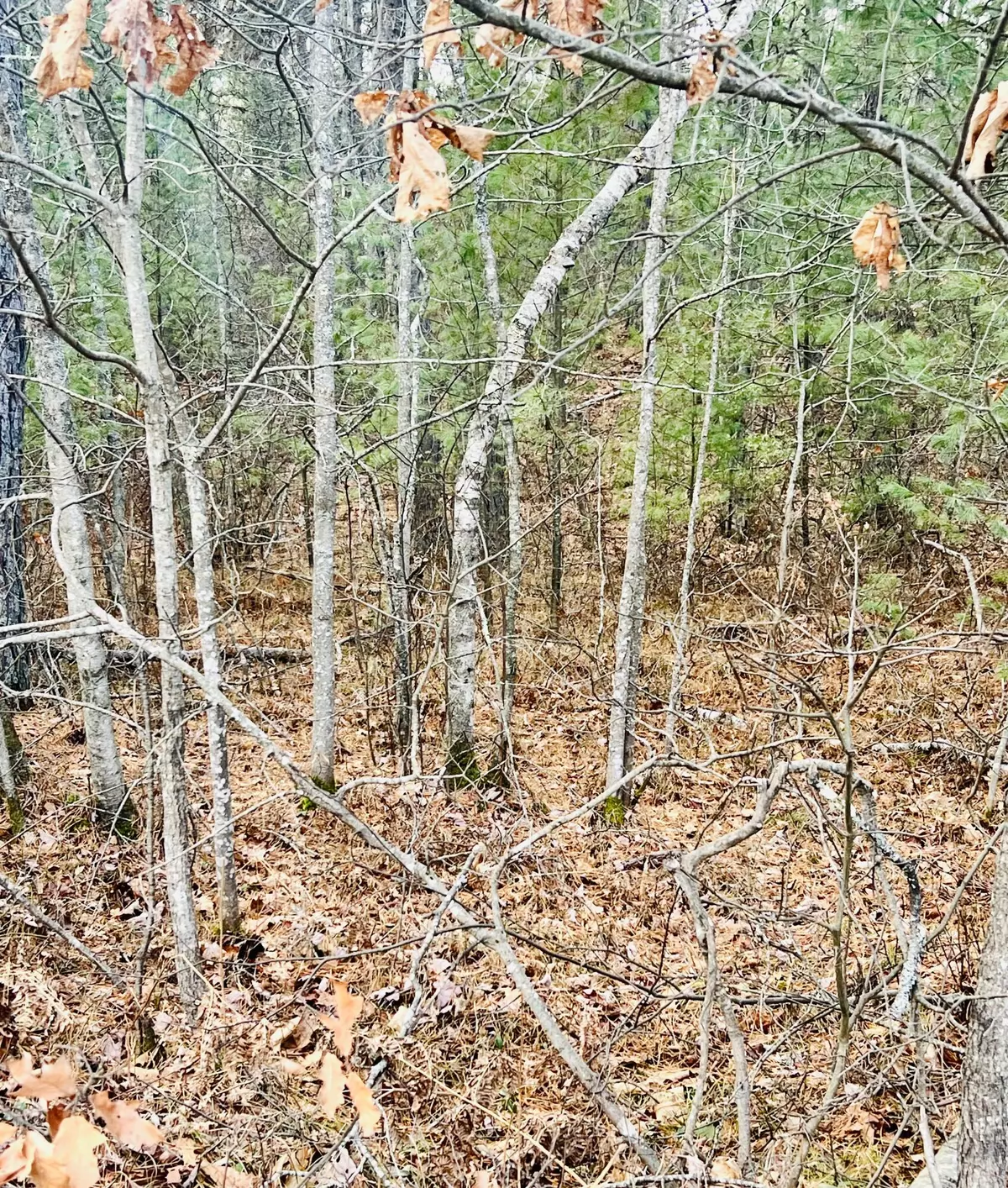 Shapleigh, ME 04076,Lot #011 Granny Kent Pond RD