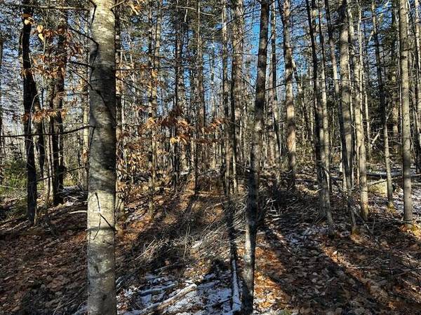 Lot 21, 24C Horse Point RD, Belgrade, ME 04917