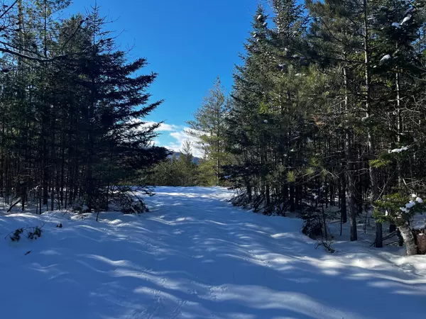 Gilead, ME 04217,Lot 3 Mt Tumbledown RD