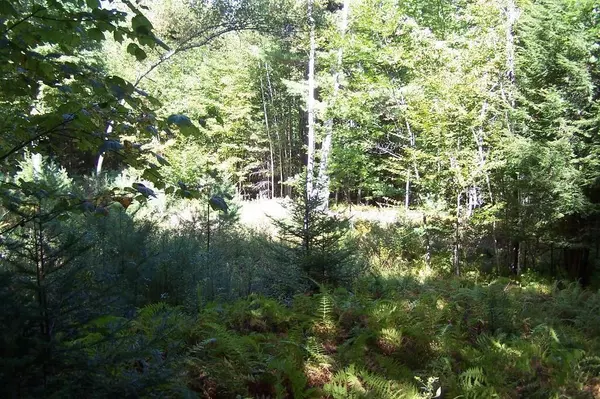Norway, ME 04268,TBD Lot 22 Saunders RD