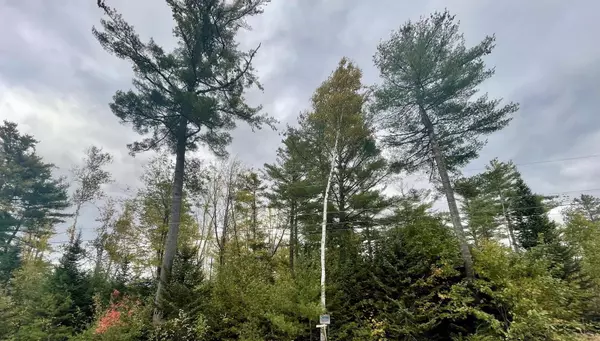 Hampden, ME 04444,Lot 9 Graystone DR