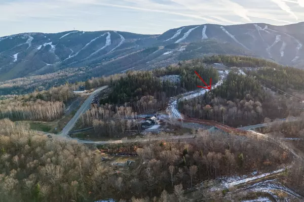 Lot 10 Garnet WAY, Newry, ME 04261