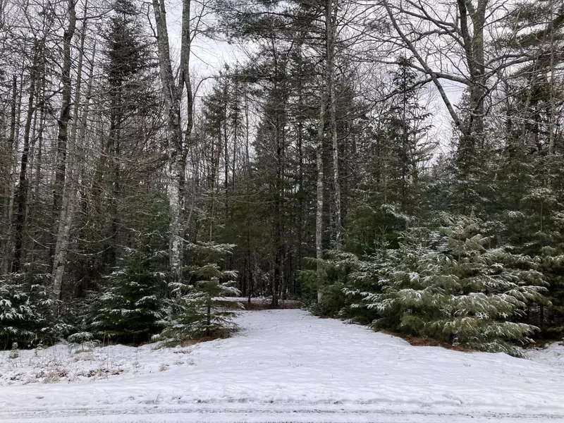 2 Island Woods RD, Bar Harbor, ME 04609