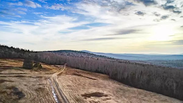 Orland, ME 04472,Lot 46 Dodge Hill RD