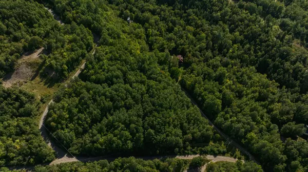 Kingfield, ME 04947,5 Highland AVE