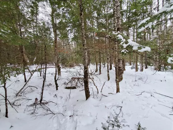 Big Lake Twp, ME 04668,0 West and Yates Point RD