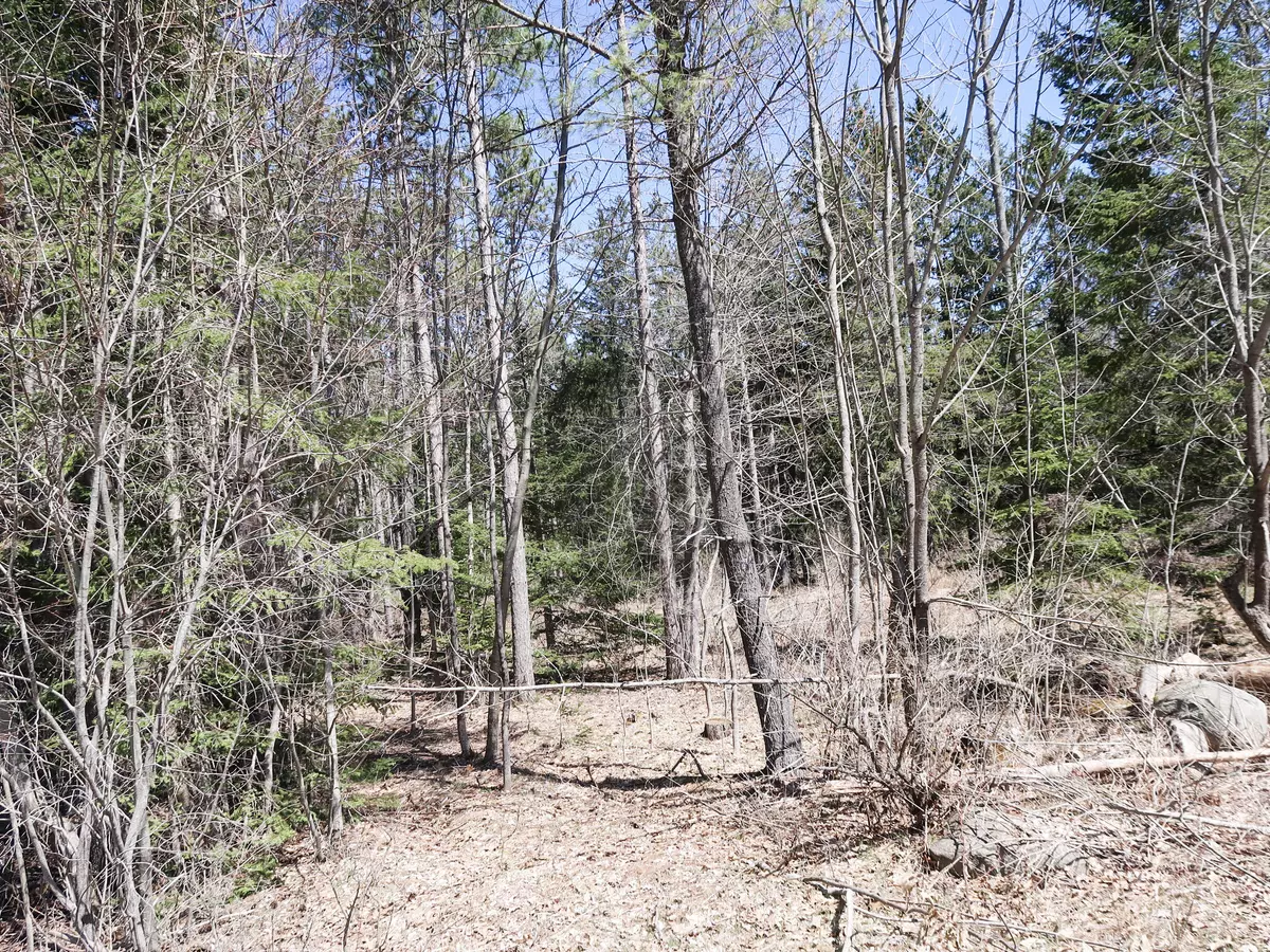 Winthrop, ME 04364,Lot #6 Sturtevant Hill Rd RD