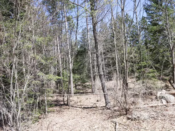 Lot #6 Sturtevant Hill Rd RD, Winthrop, ME 04364
