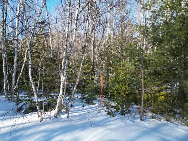 Mattawamkeag, ME 04459,Off Back Settlement RD