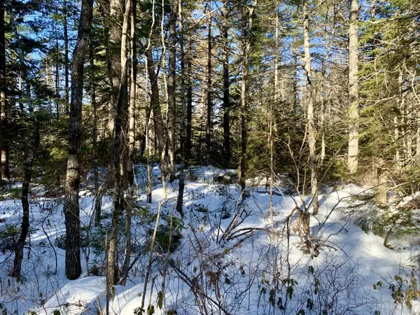 Wesley, ME 04686,Lot 1322 Beech St - Off Deer Haven RD