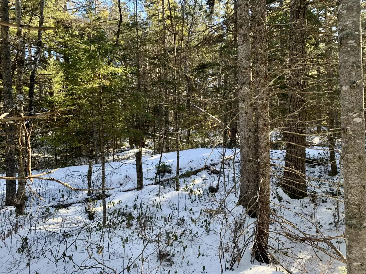 Wesley, ME 04686,Lot 1322 Beech St - Off Deer Haven RD