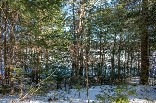 Readfield, ME 04355,M134 L20 Macomber RD