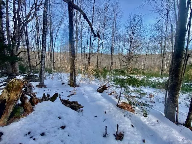 Parsonsfield, ME 04048,R7-45 Pendexter RD