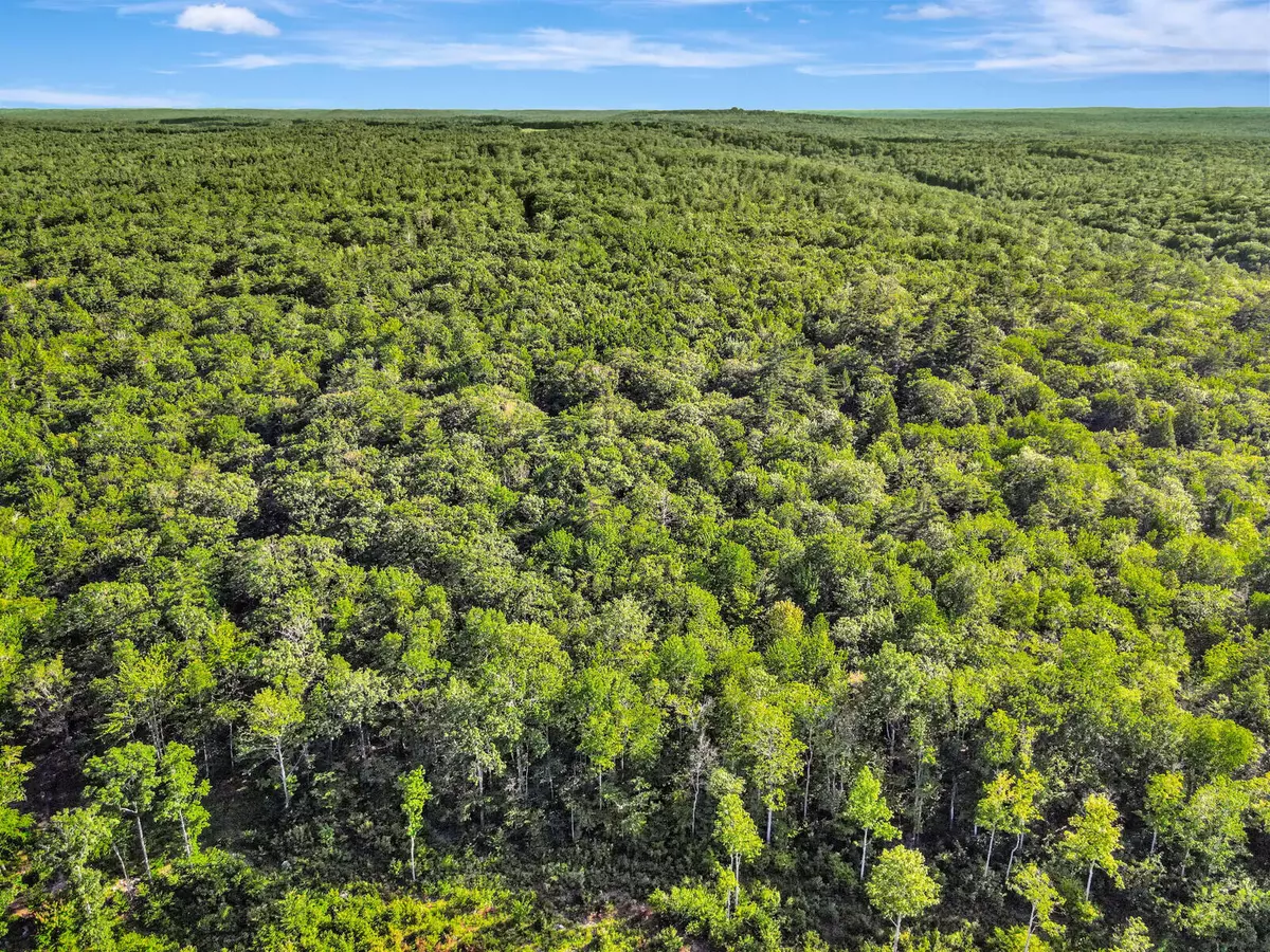 Whitefield, ME 04353,TBD Crocker AVE N