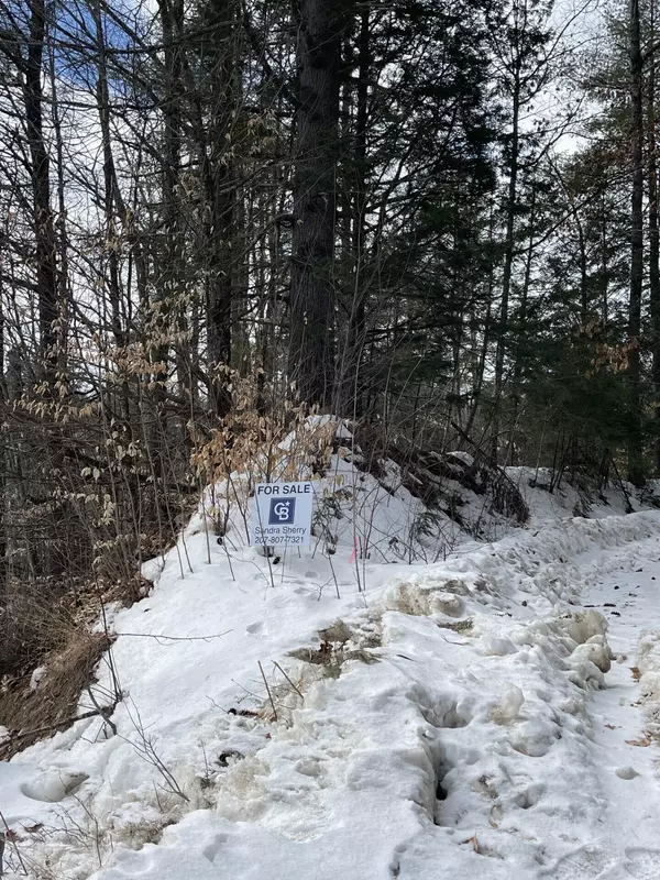 Brownfield, ME 04010,TBD Hampshire / Chamberlain Hill RD