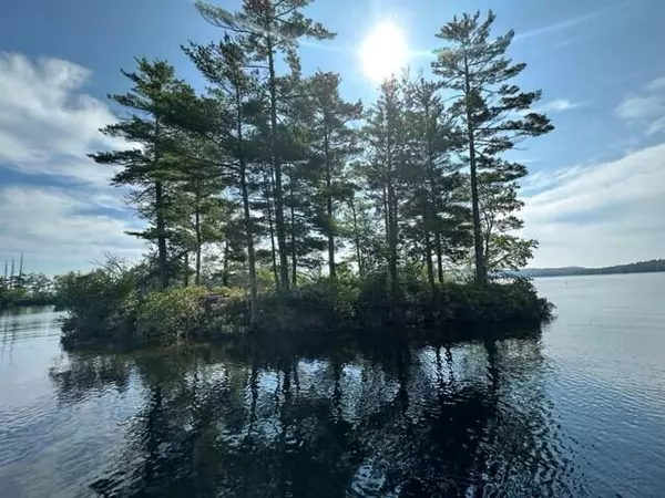 Otisfield, ME 04270,0 Pigs Ear Island