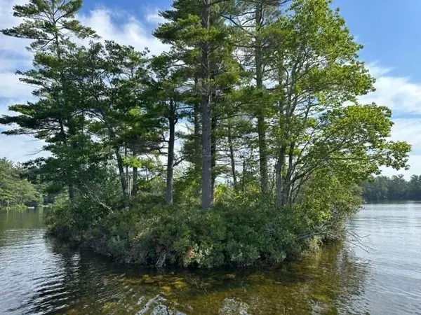 Otisfield, ME 04270,0 Pigs Ear Island