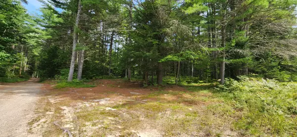 Harrison, ME 04040,Lot 29A Plains RD