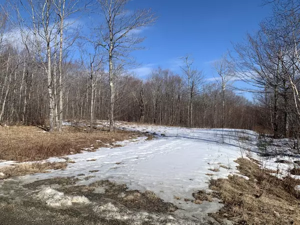 Lot28 Grand View DR, Dedham, ME 04429