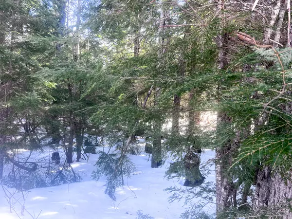 Winn, ME 04495,95 Branch RD