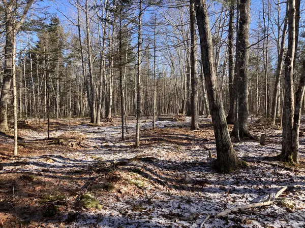 Bar Harbor, ME 04609,Lot 5 Bluff RD