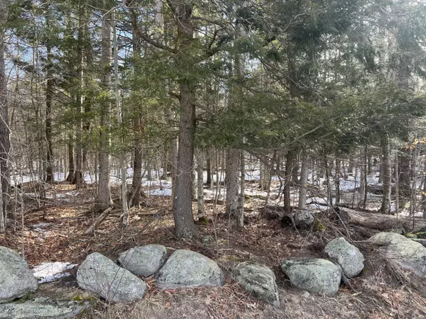 Norway, ME 04268,Lot 55C Crockett Ridge RD