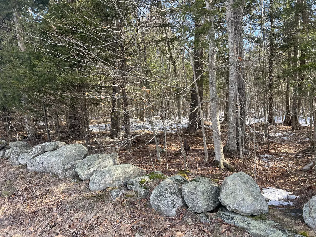 Norway, ME 04268,Lot 55C Crockett Ridge RD